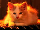Buffy.jpg (75444 bytes)