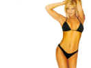 np-donna_derrico01_800.jpg (36371 bytes)