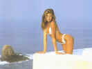 np-stephanie_seymour17_800.jpg (66845 bytes)