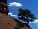 cliff800600.jpg (74044 bytes)